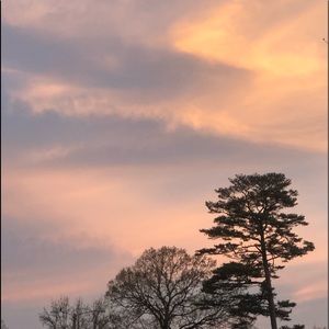 Meet your Posher, Bilal